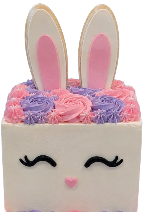 Baby Smash Cake